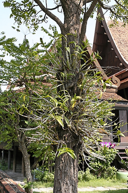 Muang Boran-2005-033